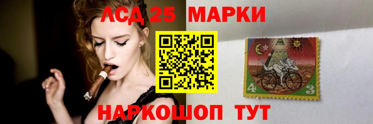 Новозыбков  Лсд 25 экстази ecstasy  Вход с VPN  Лсд 25 экстази кислота 