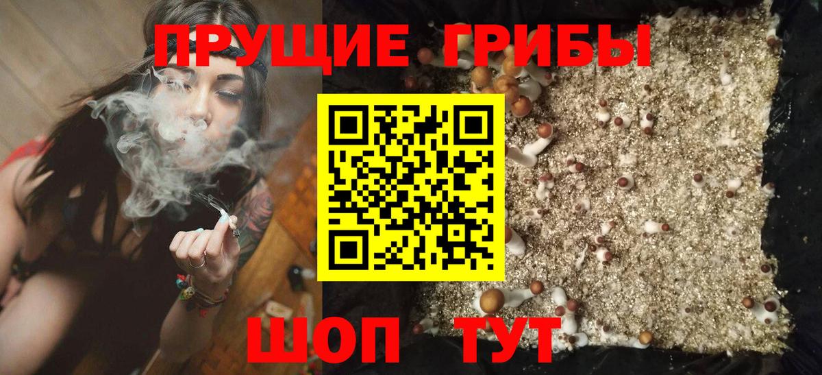 Новозыбков  Псилоцибиновые грибы мухоморы  Псилоцибиновые грибы мухоморы  магазин продажи   Вход с VPN 