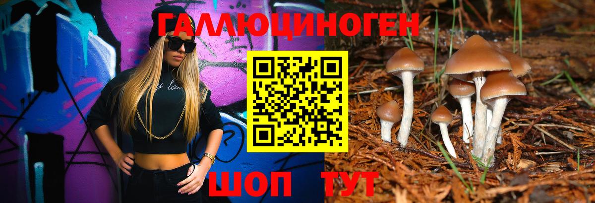 Псилоцибиновые грибы мицелий Новозыбков